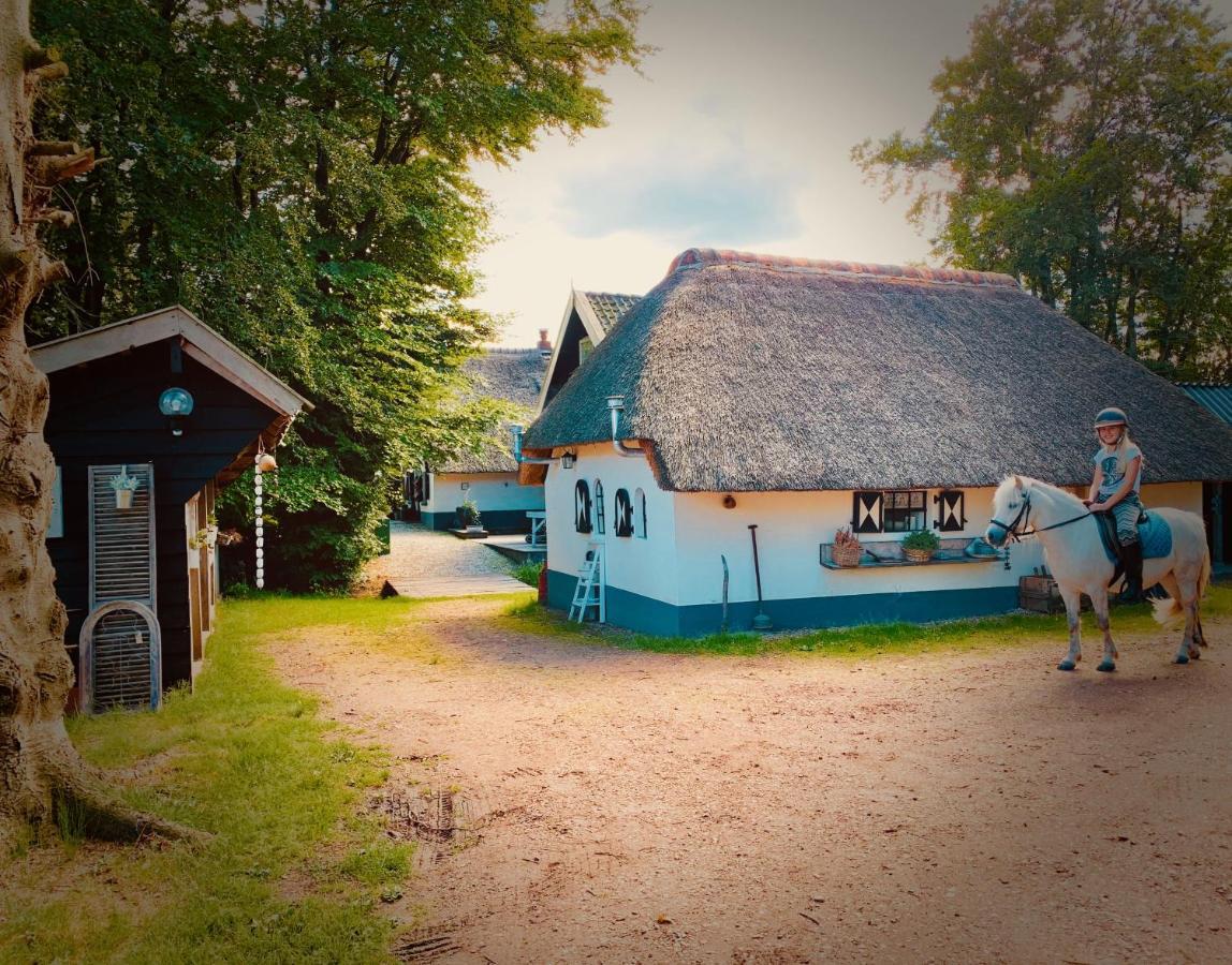 Bakhuisje Op De Veluwe Heerde Exteriér fotografie