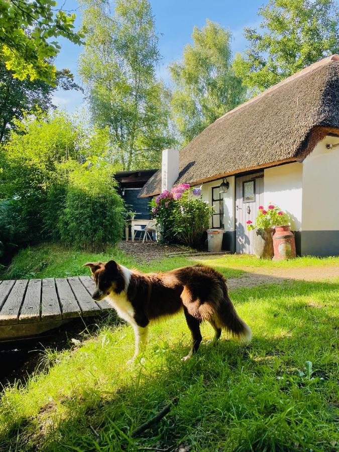 Bakhuisje Op De Veluwe Heerde Exteriér fotografie