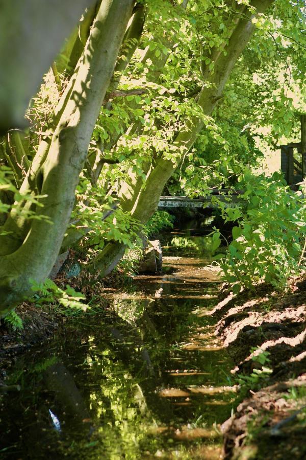 Bakhuisje Op De Veluwe Heerde Exteriér fotografie